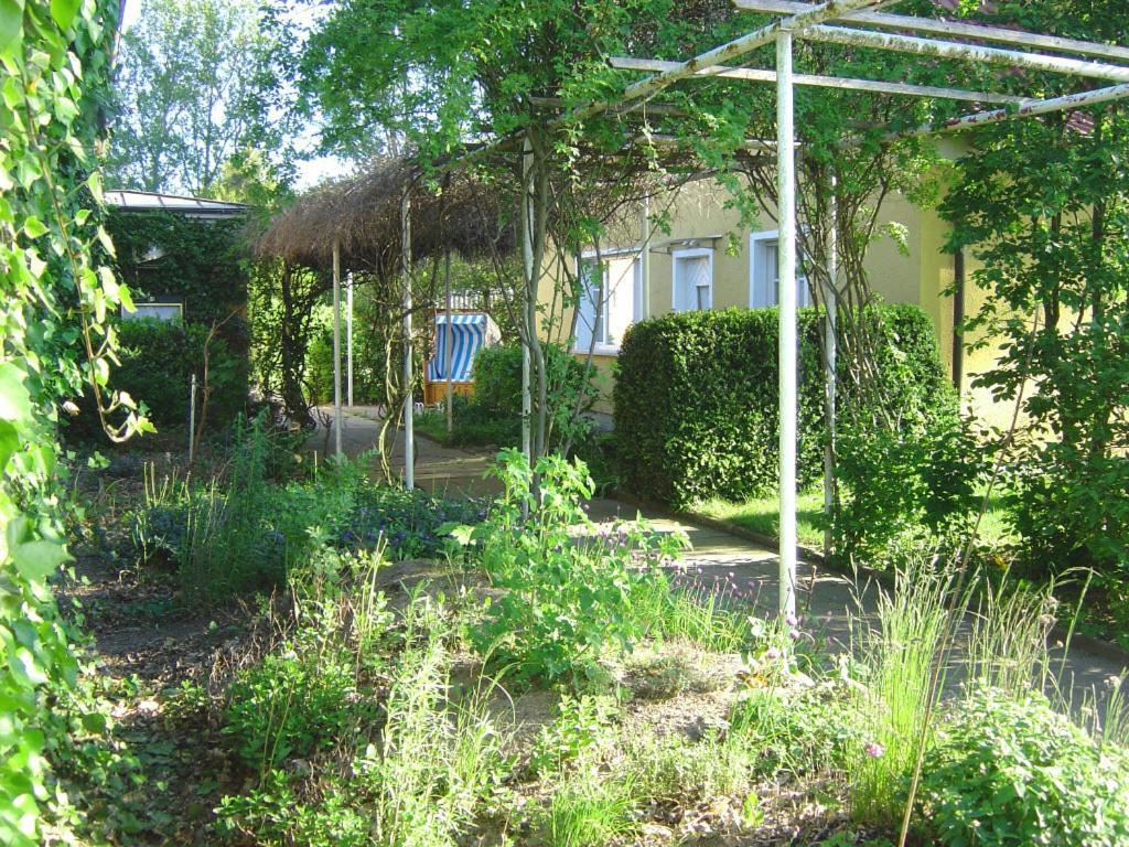 Landhotel Kiebitzort Rügen Ummanz Exterior foto